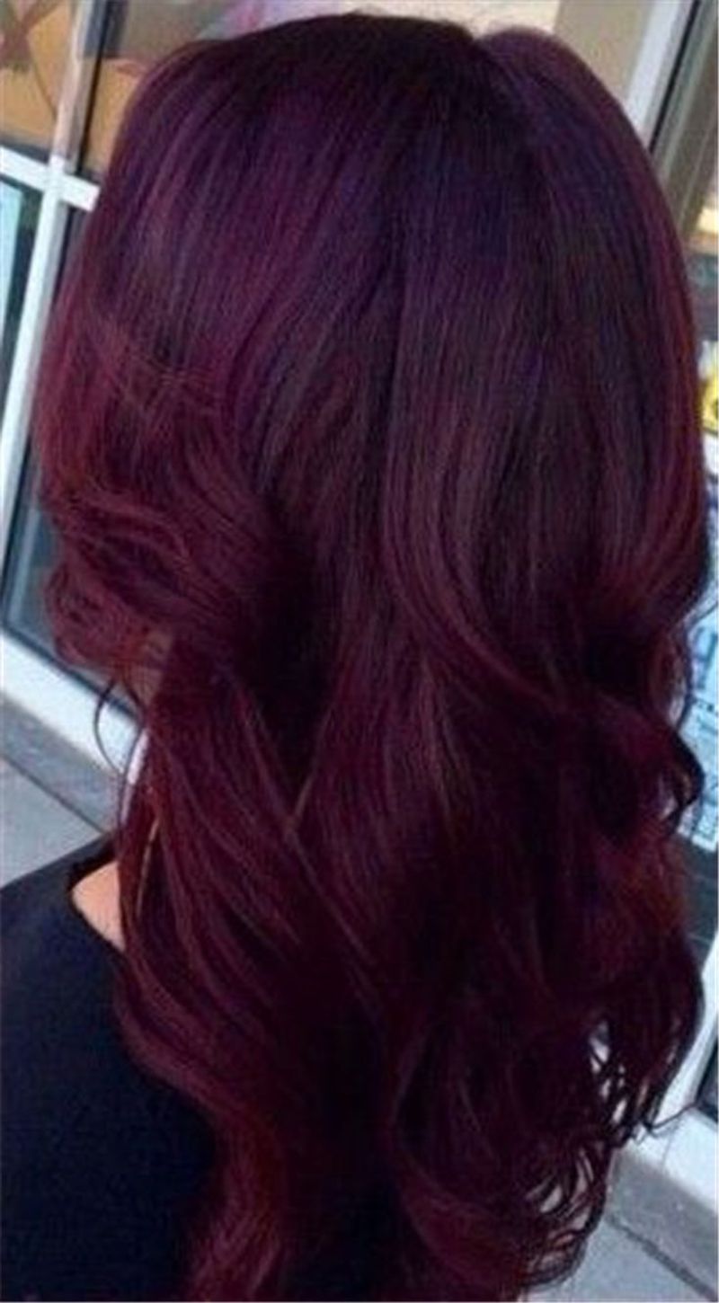 Burgundy Velvet