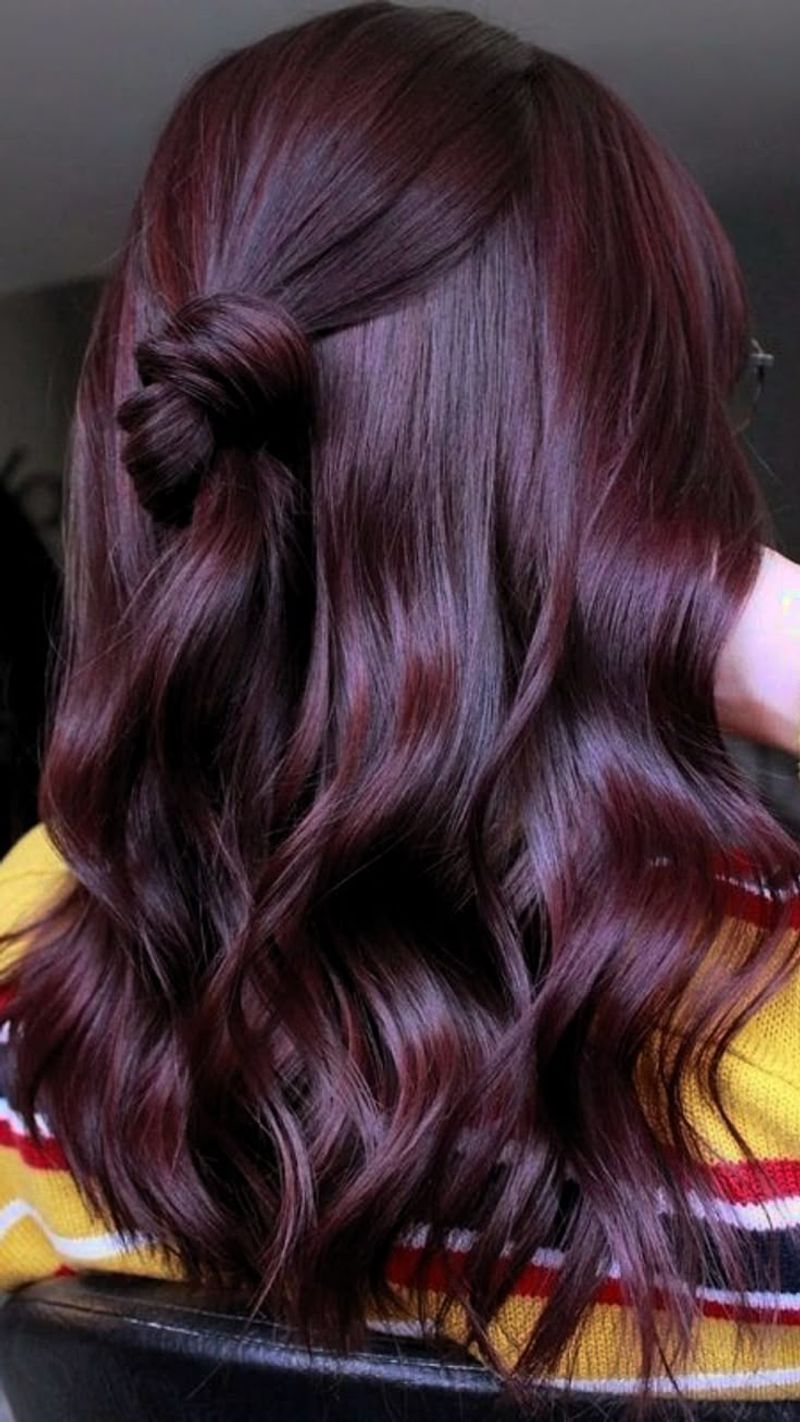 Plum Burgundy