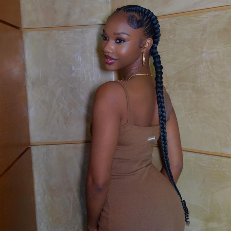 Goddess Braids with Braided Ponytail
