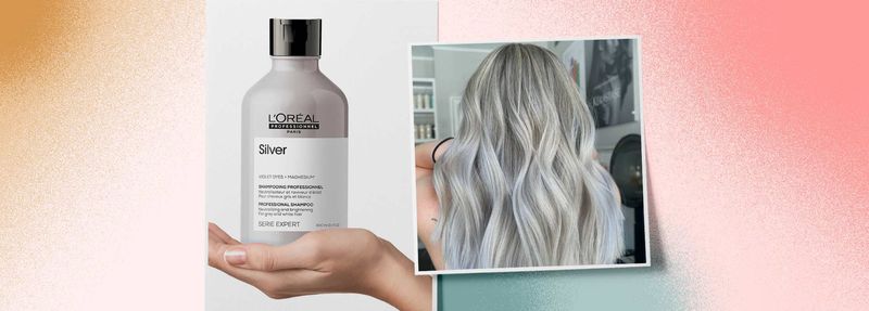 Silver Shampoo