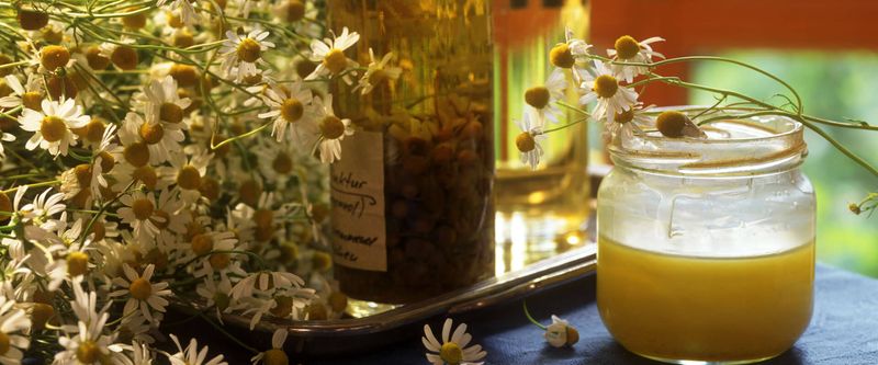 Chamomile and Honey Mask