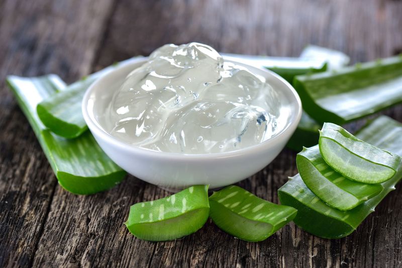 Aloe Vera's Hydrating Touch