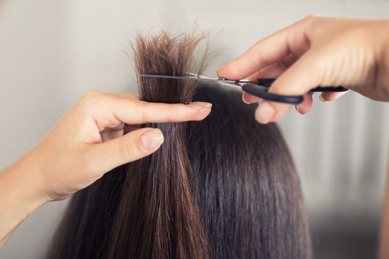 Regular Trimming