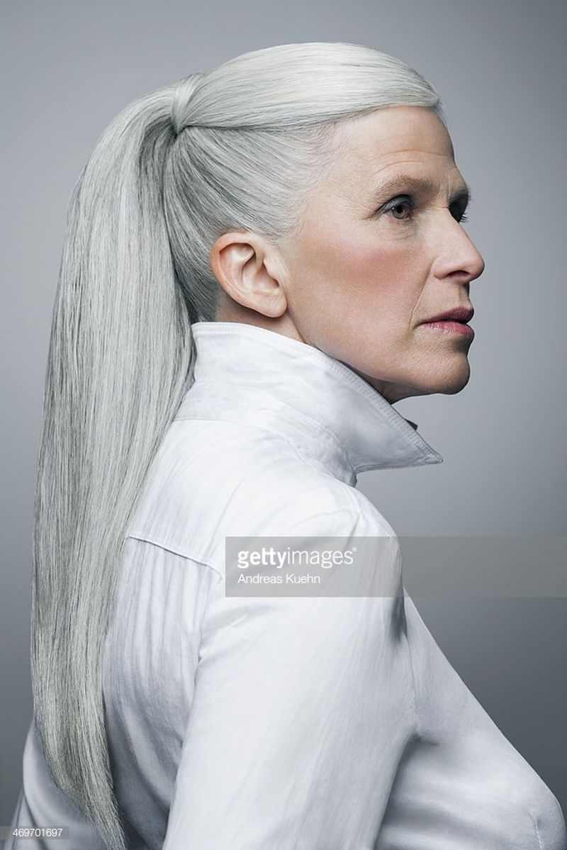 Elegant High Ponytail