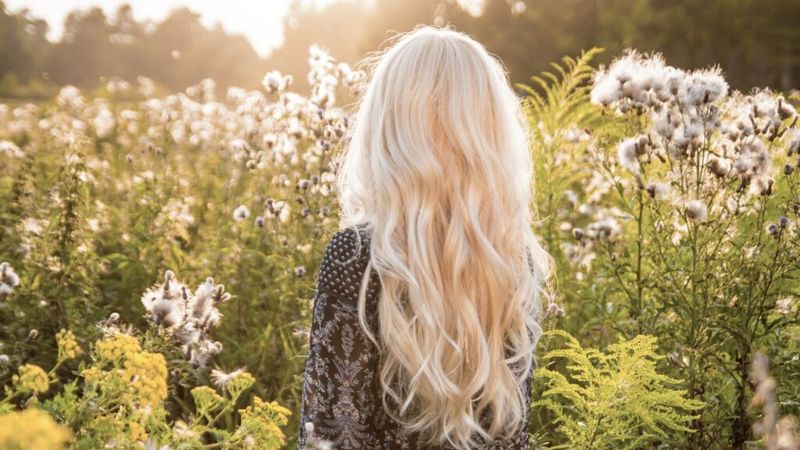 Ethereal Forest Waves