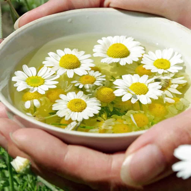 Herbal Rinse