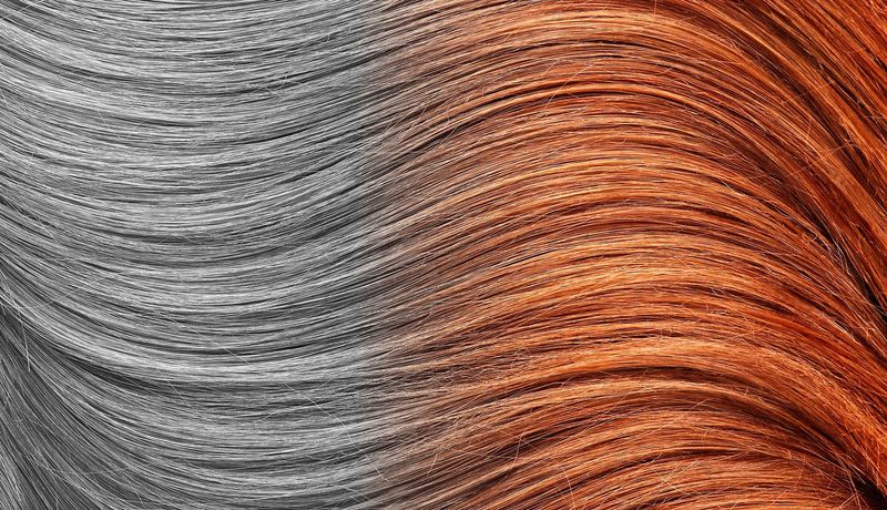 Silver Strands of Wisdom