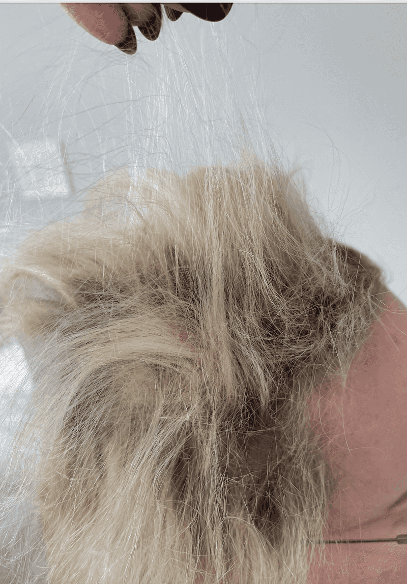 Bleaching Damaged Hair