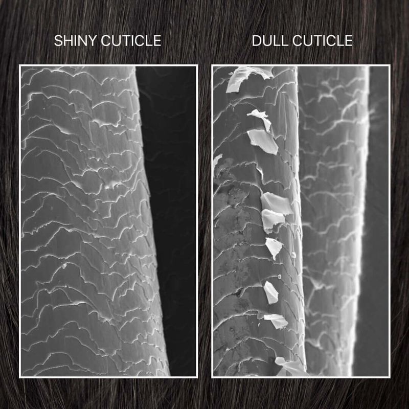 Loss of Hair’s Natural Luster