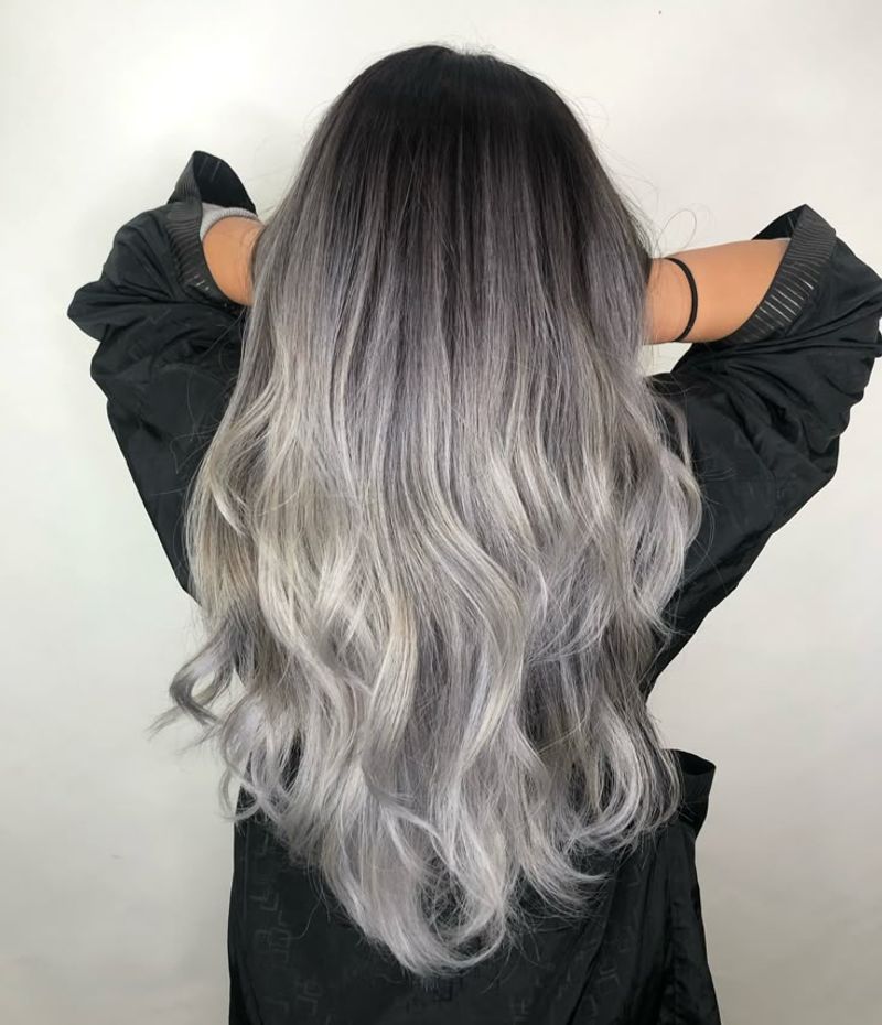 The Silver Canvas