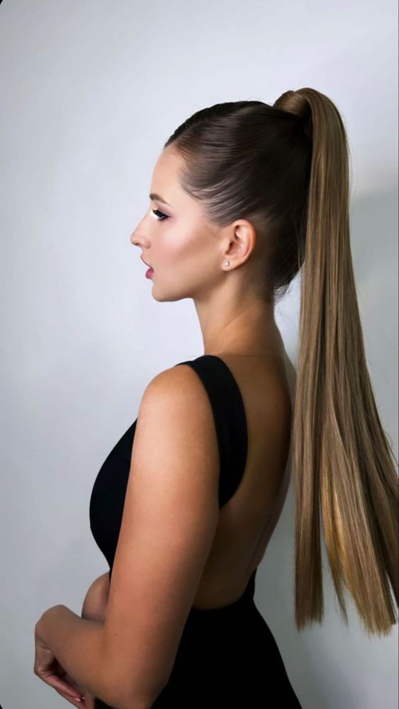 Sleek Ponytail