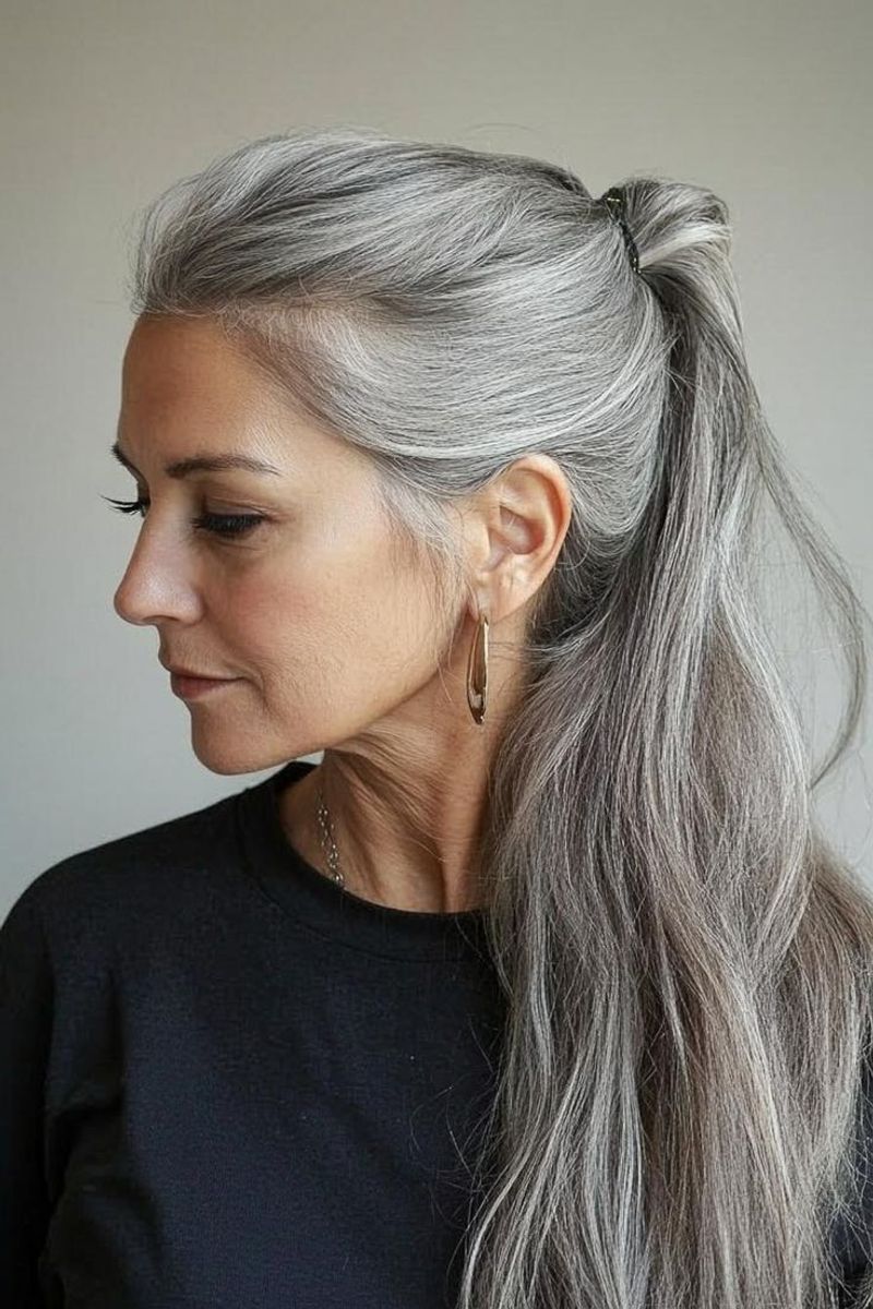Sleek Ponytail
