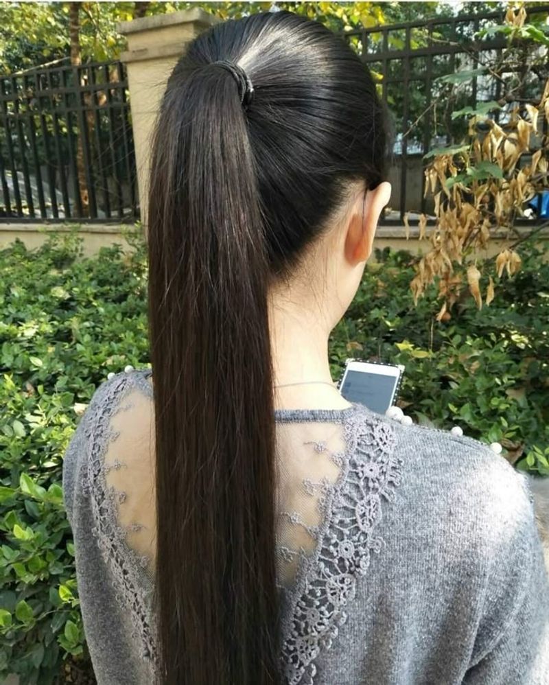 Sleek Ponytail
