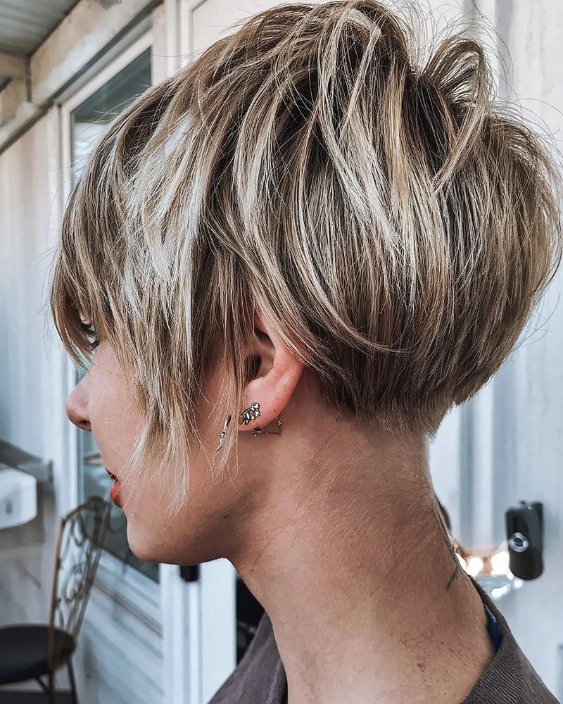 Pixie Bob Hybrid