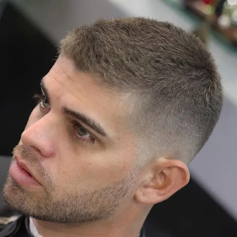 The Crew Cut