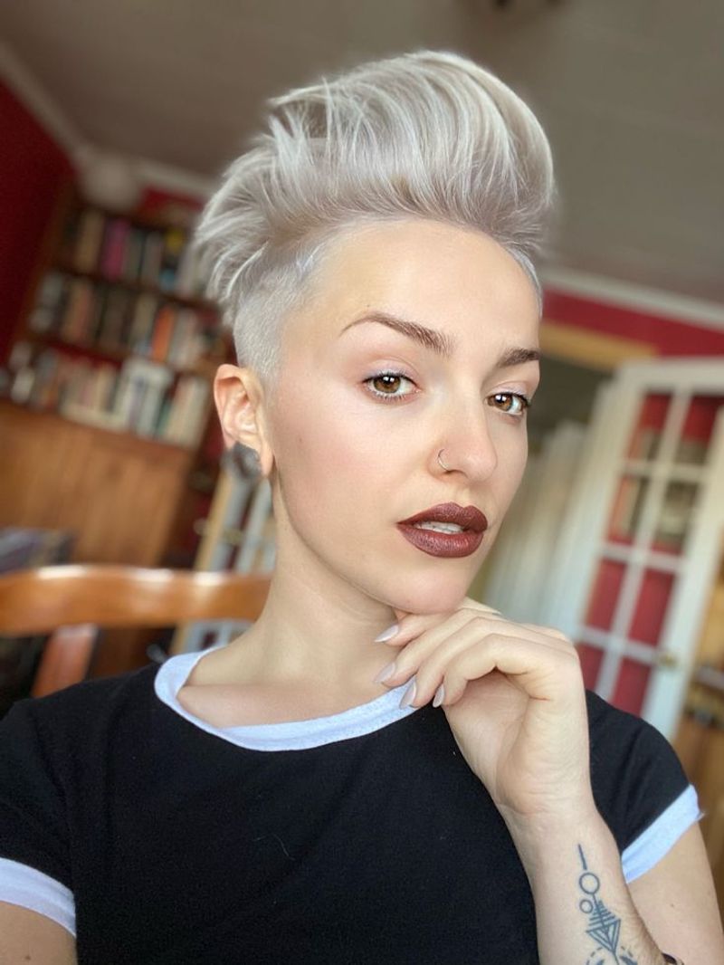 The Silver Mohawk