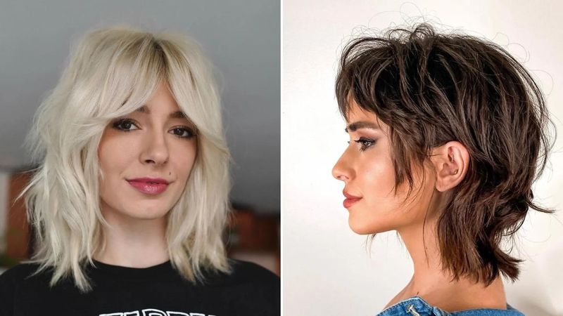 The Urban Fox Cut