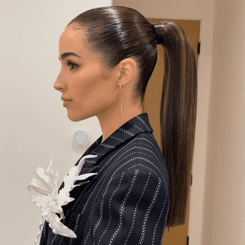 Sleek Ponytail