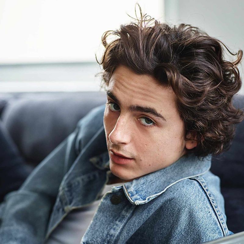 Timothée Chalamet's Tousled Waves
