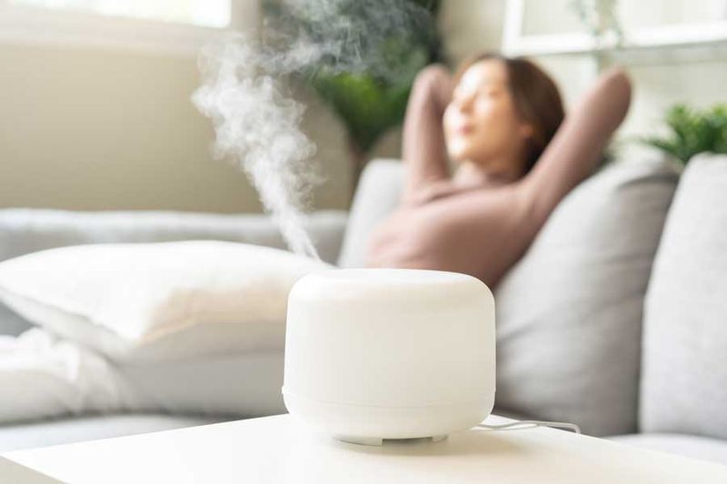 Winter Humidifier Use