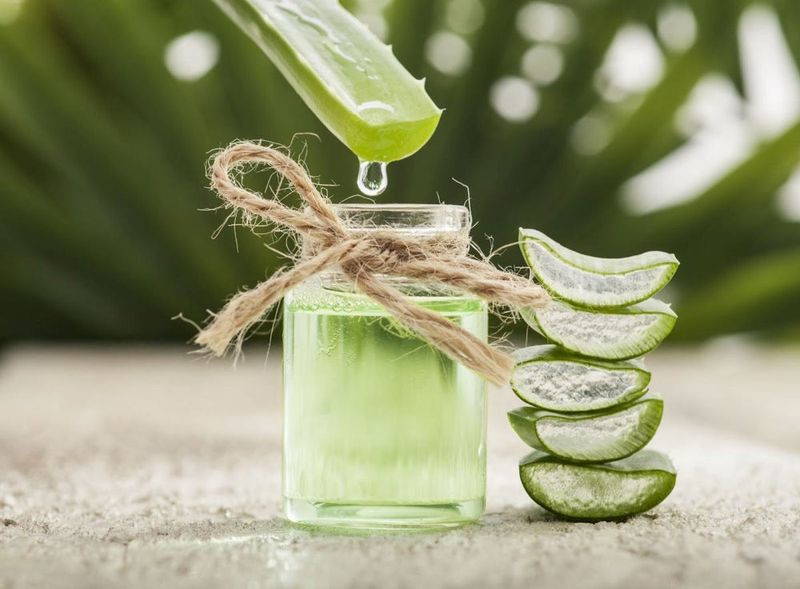 Aloe Vera Scalp Treatment