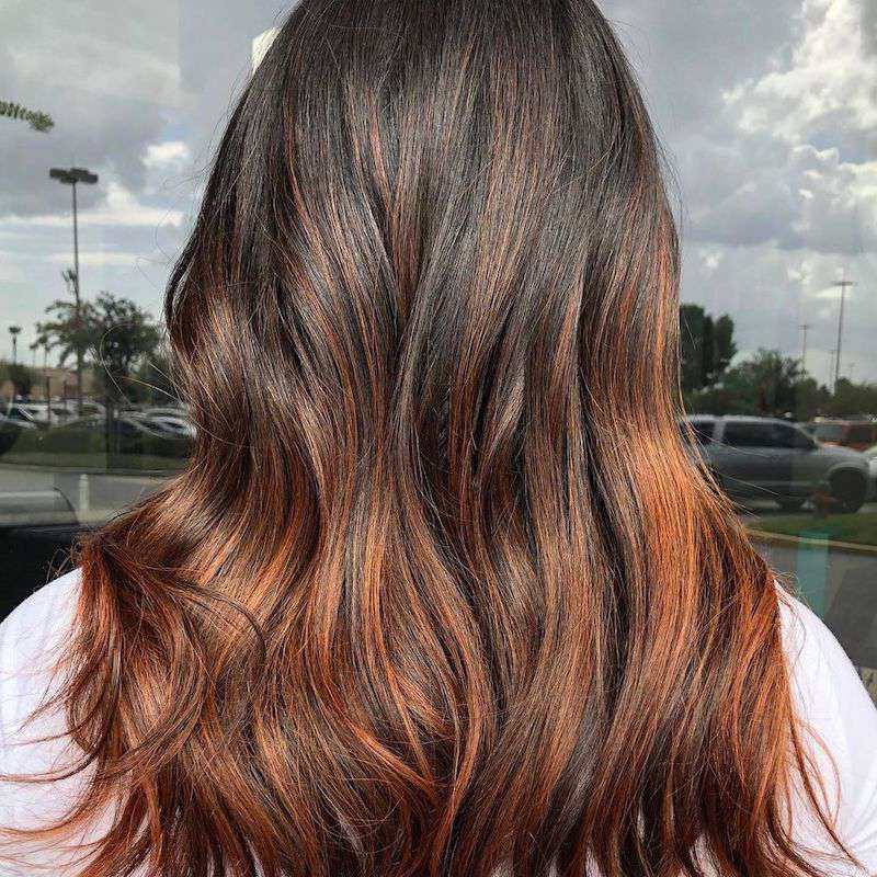 Bronze Beauty