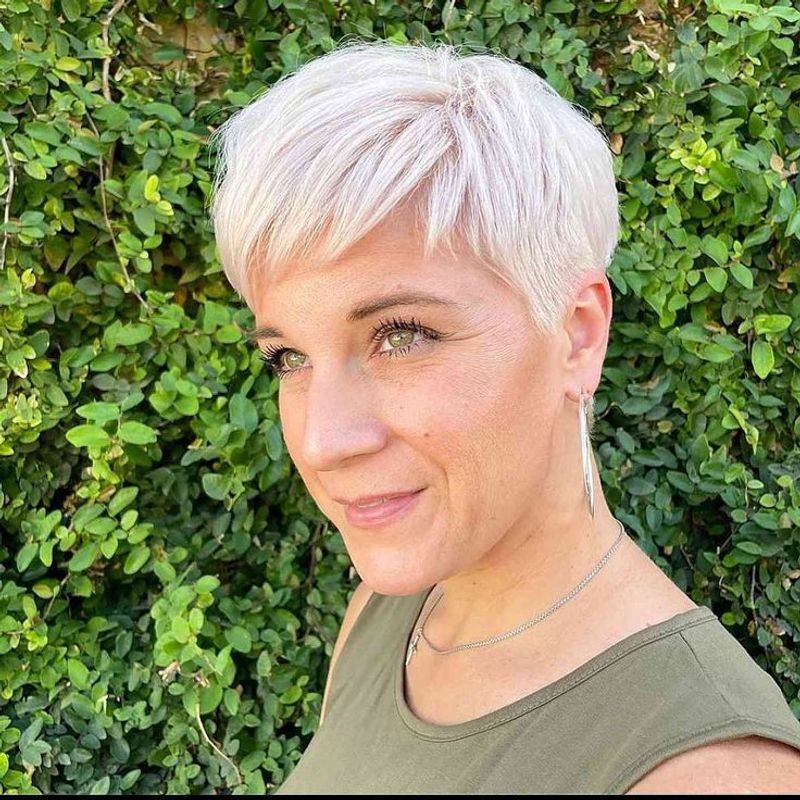 Buzzed Pixie Bob