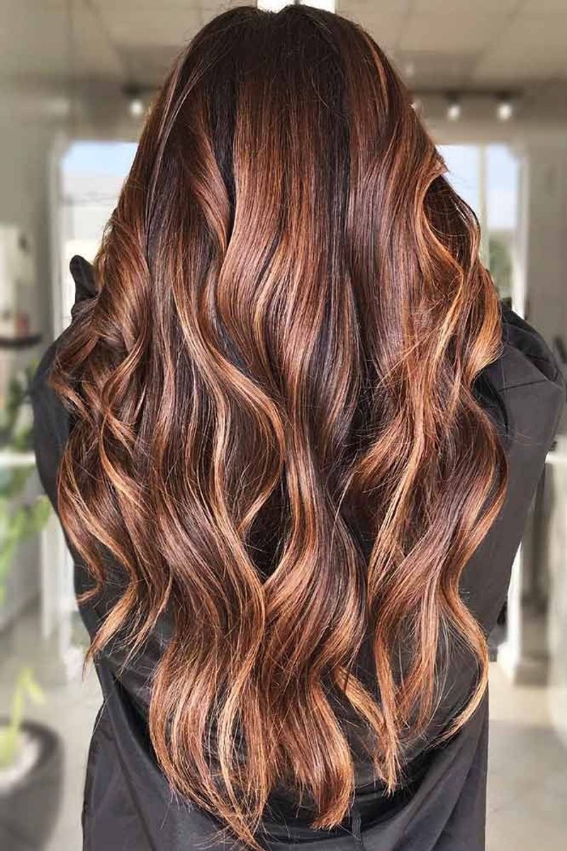 Chestnut Highlights
