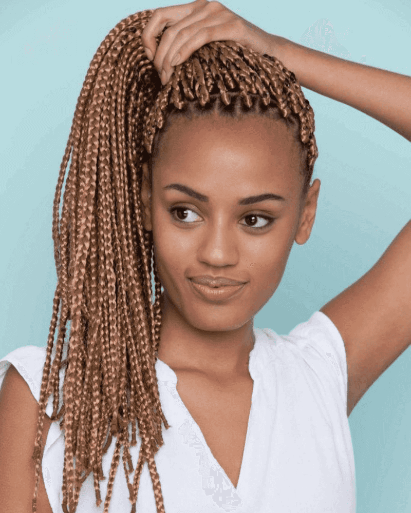 High Ponytail Braids