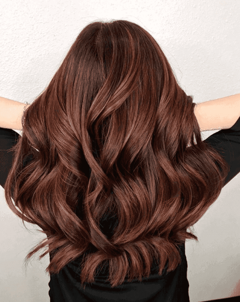 Mahogany Marvel