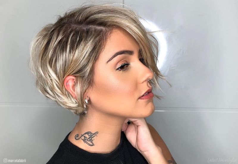Pixie Bob