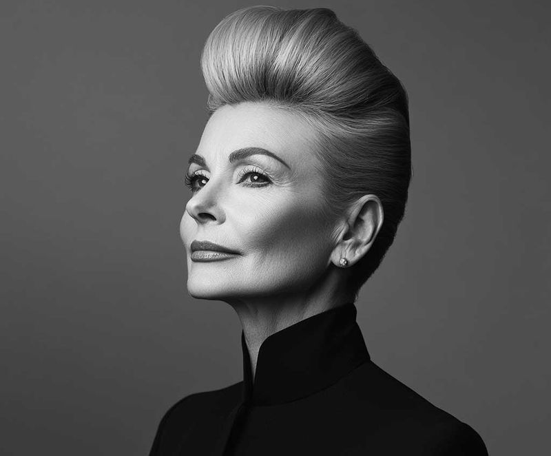 Sophisticated Pompadour