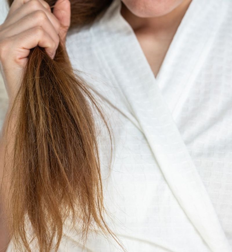 Split Ends Galore