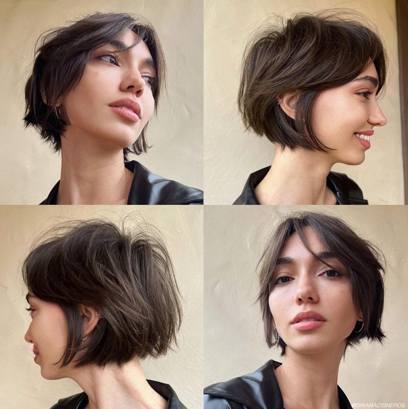 Bohemian Pixie Bob